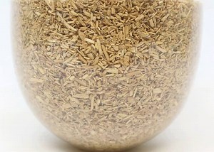 17K views · 51 reactions | Bring biology home with the GROW Lamp, back now for the perfect holiday gift! | Ecovative | Facebook