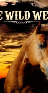 The Wild West (2013) - TV Show