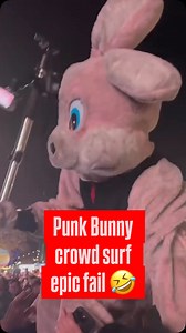 3.5K views · 40 reactions | Punk Bunny’s crowd surf gone hilariously wrong at Ohana Fest 藍‍♂️  thanks to @chellestagram #greenday #punkbunny | Green Day Italy - Italian Rage and Love | Facebook