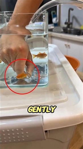 When a Fish Slides Through a Hose 😲