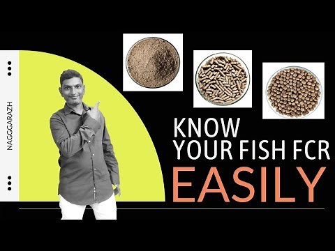 Fish Biomass, Feed Ration, and FCR Calculations