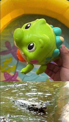 Fun Sea Animal Names and Facts for Kids | Ocean Toy Exploration for Toddlers| ocean animal toys