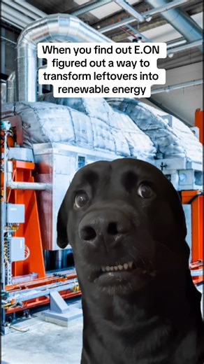 6.2K views · 11 reactions | Unbelievable, right?  #Leftovers #RenewableEnergy | e.on | Facebook