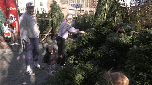 New doc spotlights families behind NYC’s Christmas tree trade