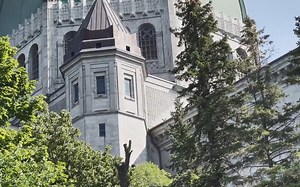 UdeM 2021年Eve与前夫Sphinx的育雏视频，超精彩！