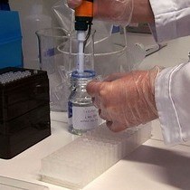 Video: Micromanipulation of Gene Expression in the Adult Zebrafish Brain Using Cerebroventricular Microinjection of Morpholino Oligonucleotides