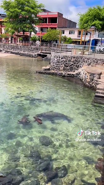 Descubre los Tours Todo Incluido en Galápagos