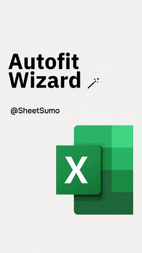 Autofit Wizard 🪄 #excel #exceltutorial #spreadsheets #MicrosoftExcel