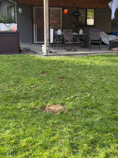 Seattle Humane on Reels