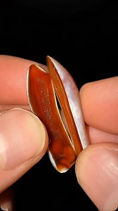 462K views · 196K reactions | This tiny corals hiding something magical 視✨ #crystals #rocks #minerals #geology #coral #geode #agate | CoralGeodes | Facebook