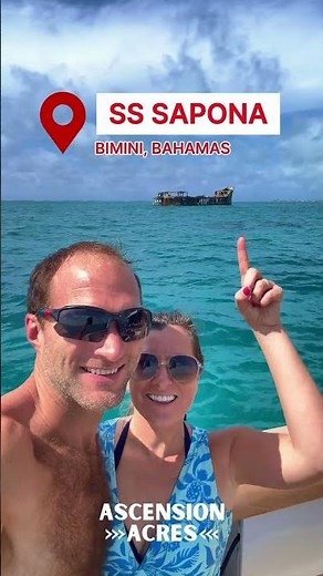 SS Sapona Shipwreck in Bimini, Bahamas #shipwreck #bimini #bahamas #snorkel #excursion