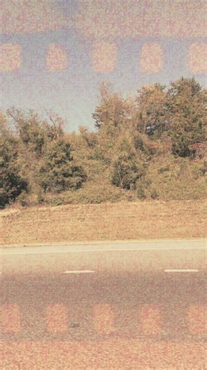 Through my lens: 24 years of beautiful confusion. I don’t have the answers, but the search is starting to feel like the point. 🎵: Your Name (Don’t Call Me Blondie, 2026) | Mari Cornell