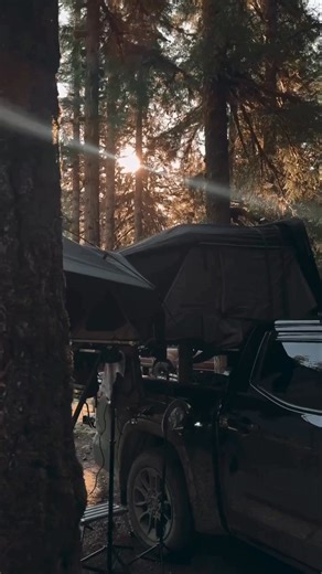Big thanks to @mexibeastBBQ for capturing the vibe we all chase, the open road, the trees, and a rig that’s ready for wherever it leads. This is what it’s all about. #TrailTime #OutdoorRigs #NatureEscape #OverlandDrive #Ironman4x4 | Overland Truck Store | Facebook