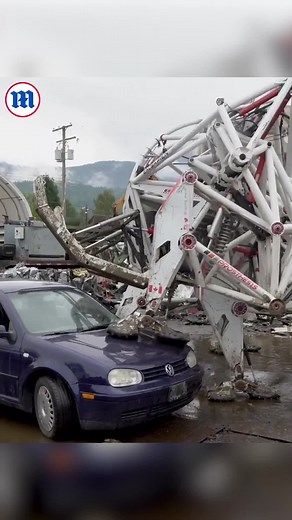 116K views · 474 reactions | Daily Mail US on Reels | Facebook