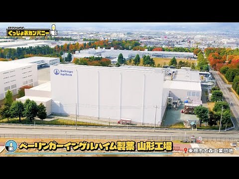 YAMAGATA ぐっじょぶカンパニー2025 ベーリンガーインゲルハイム製薬｜ベーリンガーインゲルハイム