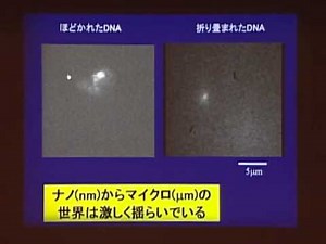 京都大学 第4回市民講座「宇宙と物質の神秘に迫る～物理科学最前線～」「非平衡が創り出す時空間パターン」吉川 研一（京都大学理学部物理学第一教室 教授）2006年11月11日