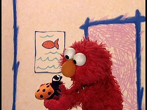 Il Mondo di Elmo - Gli insetti (60 fps)