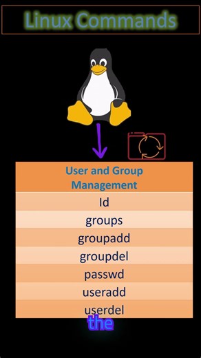 Linux User & Group Management Commands under 60 Seconds! 👥⚙️ #linux #linuxcommands #linuxshorts