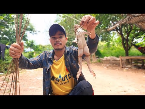 "How I Set the Ultimate Frog Trap: Simple Steps You Won't Believe! & Frogs