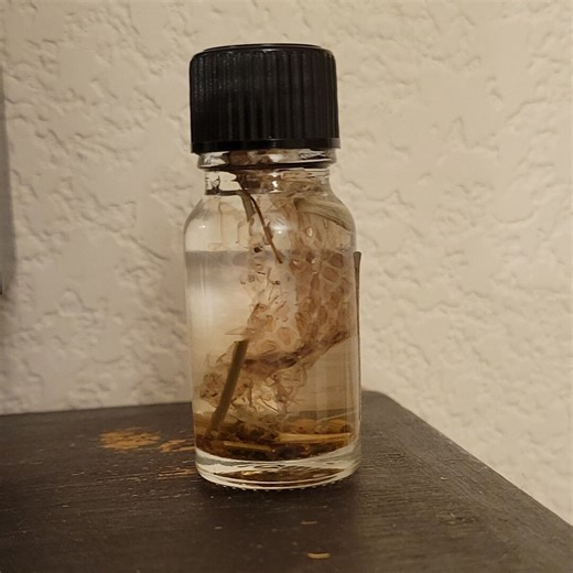 Transformation Oil for Rebirth Renewal and Do-overs - Etsy