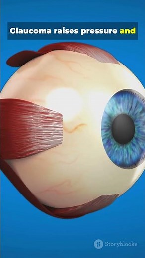 How Do People Go Blind? | Science Explained 👁️🔬