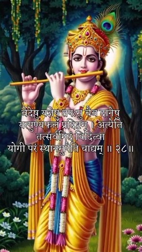 VIDEO ADHYAY 8 SHLOK 28 -- Shri Krishna guides the seeker within.