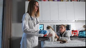 Veterinarian prepares vaccine to carry out annual prophylaxis of pet next to owner sitting near medical table against the background of professional equipment of veterinary clinic. Stock Video