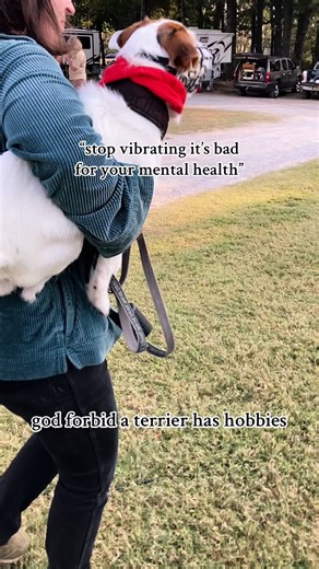 Understanding the Energy of Jack Russell Terriers