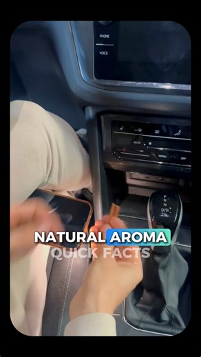 17K views · 187 reactions | Title:Cinnamon Hack for a Fresher Car Caption:A simple cinnamon stick can change your whole driving vibe. Break it in half, drop it in your car, and enjoy months of natural aroma, fewer bugs, and a calmer ride. Sometimes, nature really is the best air freshener. ✨#CinnamonHack #CarSmellTips #NaturalFreshener #DriveWithComfort #MindSnackFacts | Quick Facts | Facebook