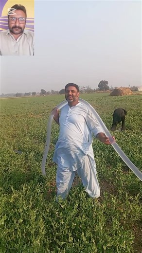 56K views · 1.2K reactions | Easy & Modern Method to Water Soil | No Cost Irrigation Technique In this video, I’m showing a simple and modern method to water the soil in the fields. This technique requires no extra cost and is very easy for every farmer to use. Save water, save time, and get better crop results with this low-cost irrigation idea. #FarmingTips #ModernFarming #Irrigation #WaterSaving #NoCostFarming #FarmerLife #Agriculture #SmartFarming | Naqvi Trader | Facebook