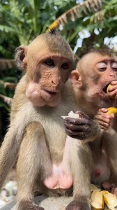 Happy Videos on Reels