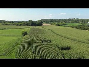 Spraying Drone Picks Up Right Where It Left Off