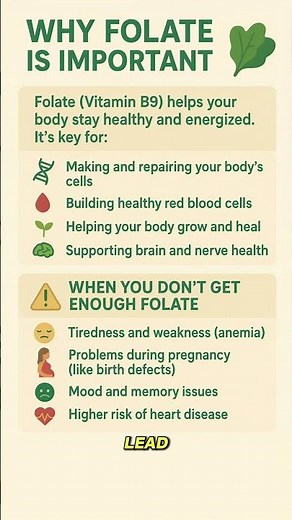 💚 Why Folate Is So Important
