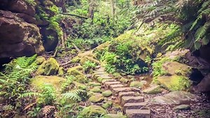 2017: Our Adventurous Year! What a fantastic journey it has been this year. We are really grateful to have had the opportunity to travel; experience new cultures; see new sites and reach the top of one of the Seven Summits. In Cape Town we hiked Table Mountain and the 12 Apostles; Sand boarded and quad biked the Atlantis Sand Dunes and zip lined through the Hottents-Holland mountains. ⛰⛰⛰ In Sydney, we had numerous hikes in the lush Jurassic rainforests of the Blue Mountains. 🏞🏞🏞 In Queenstow