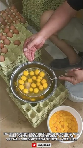 Smart Egg Separator Tool: Efficient & Hygienic Result for Kitchen Preparation #tooltechnology