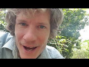 How to dwarf trees without buying a dwarf variety, dwarf mango grown from seed! dwarf fruit trees ya