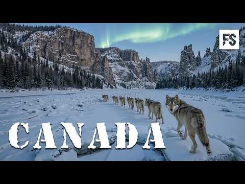 WILD CANADA | Deadliest Creatures of the North | Full Documentary