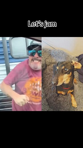 We’re jammin | Charlie’s Kingdom