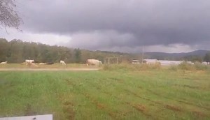 62K views · 370 reactions | Video of tornado as it moved along Byrd...