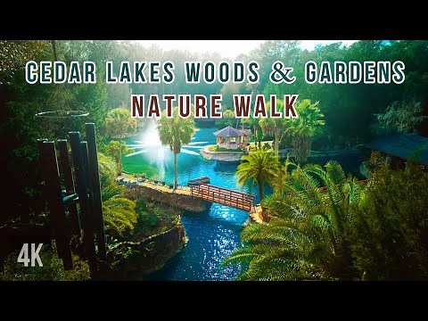 A Nature Walk Through Florida's Hidden Oasis | Cedar Lakes Woods & Gardens (Williston, FL)