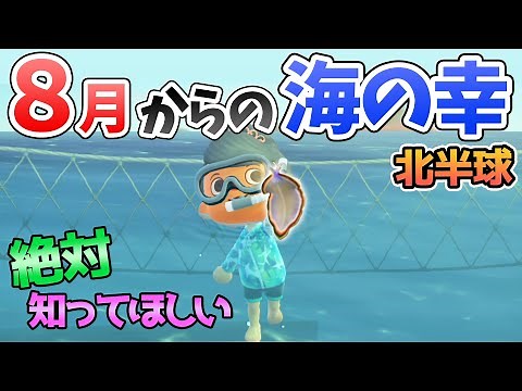 【あつ森】8月から捕れる海の幸を紹介！ヒラムシの出現時間や影のサイズ、捕まえ方、売る時の値段も解説！レアな生き物を捕まえて目指せ図鑑コンプリート！【あつまれどうぶつの森 8月の生き物】