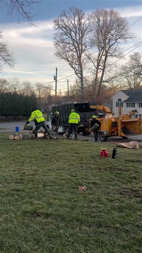 Branch To Branch Tree Service on Instagram: "Wrapping up another day with precision 🥶 #branchtobranchtreeservice #oaklandnj #december"