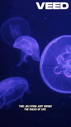 The Jellyfish That Can't Die 💀🚫