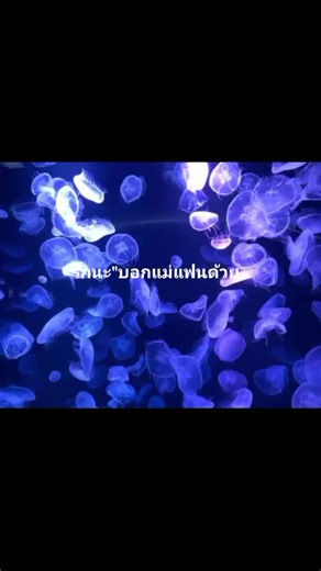 ในฐานะไรคะ#รักนะ #บอกแม่แล้วจ้ะเอาคนนี้🤗😘 #เทรนด์วันนี้ #เธรด #ฟืดๆๆ