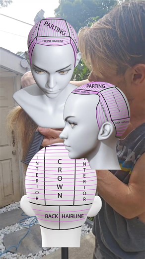 Full Highlighting Diagram #hairtutorial #haireducation