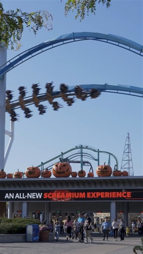 34K views · 254 reactions | Have you brought the kids to experience #HalloWeekends daytime fun? It's a SPOOK-tacular time. 慄‍♀️ Here's your guide to all the fun at HalloWeekends presented by SNICKERS®  https://bit.ly/4mIETQa | Cedar Point | Facebook