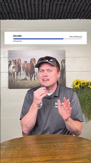 Gelding Grants