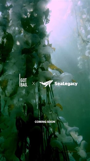 SeaLegacy on Instagram: "Founded in 2014, SeaLegacy is a collective of leading photographers, filmmakers, scientists, and ocean advocates united by one mission: to drive systemic change that restores and protects the ocean, our most vital and vulnerable ecosystem. Through expeditions, campaigns, and strategic partnerships, they transform compelling imagery into awareness and concrete action. Turning trash into treasure since 2018, GOT BAG creates minimalist travel goods made with recycled materi