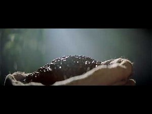 Commercial Ads 2019 - McDonald’s: We Could