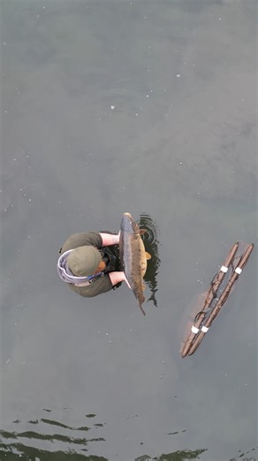 218K views · 1.2K reactions | LET YOUR BAIT MATCH YOUR AMBITIONS! ...